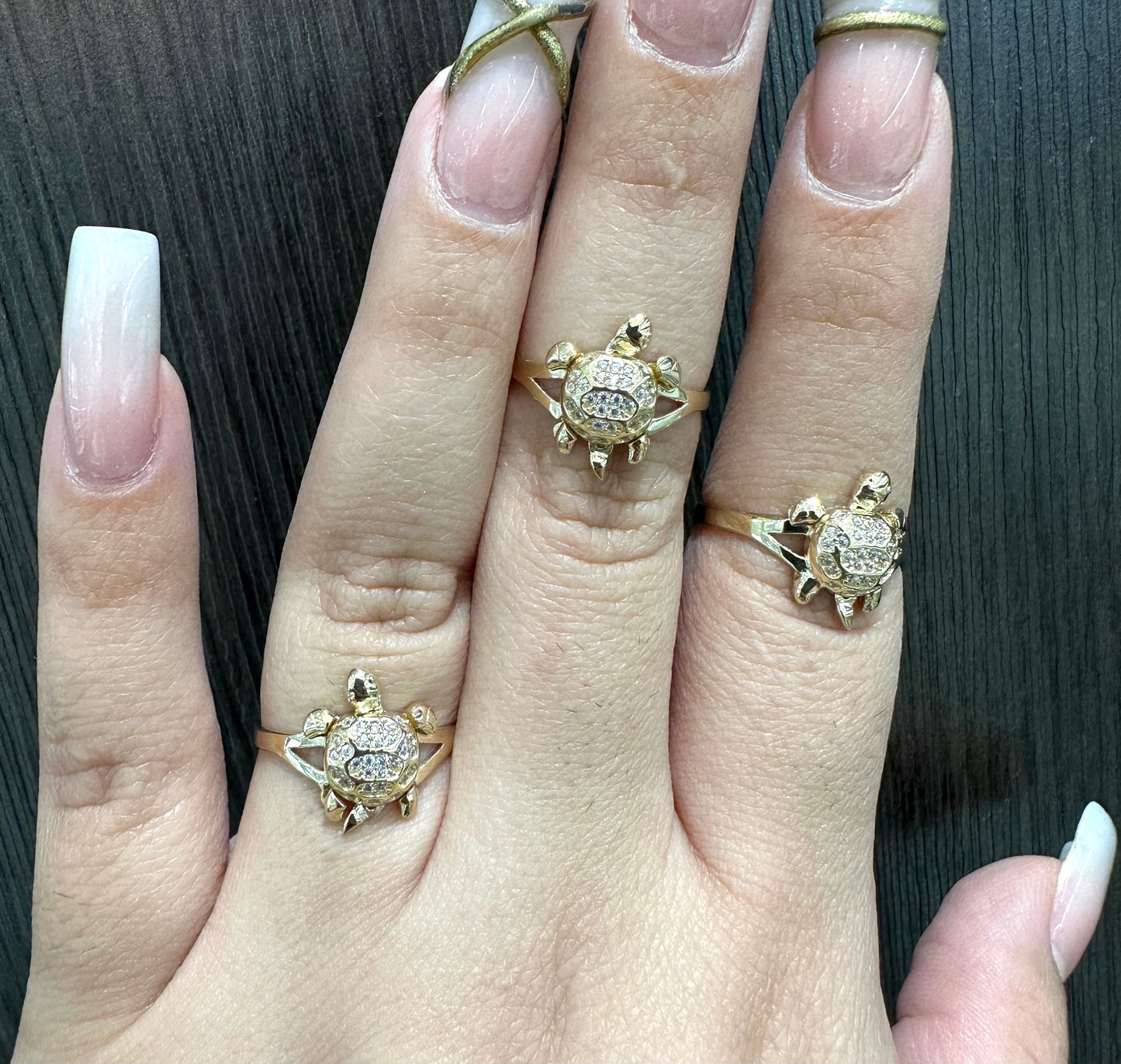 Anillo jocotea